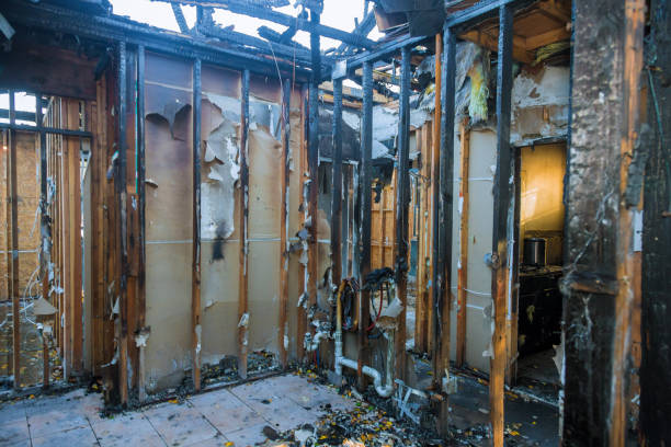 Professional Fire Damage Repair technician working in Rogers, MN