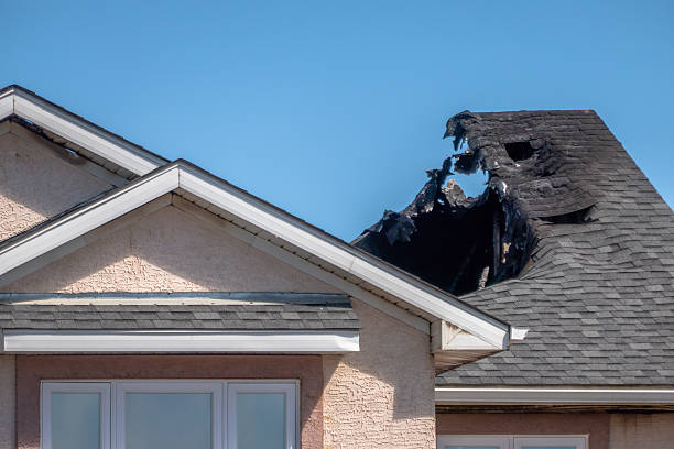 Top rated local Fire Damage Repair specialists in Rogers, MN